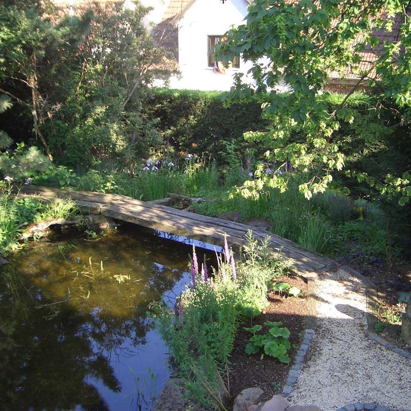 Ferielejlighed - 5 personer -  - Hauptstrasse - 67271 - Kindenheim