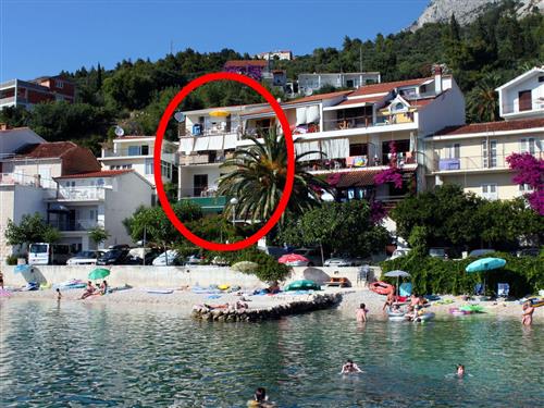 Holiday apartment - 2 persons -  - Caklje - 21327 - Podgora