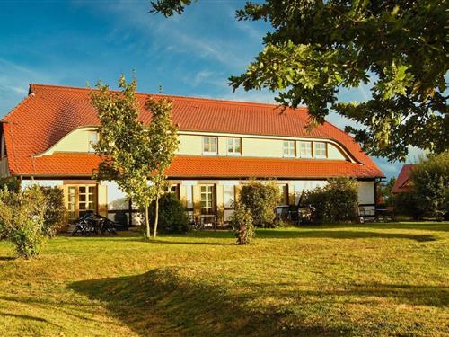 Ferielejlighed - 4 personer -  - Nonnevitz - 18556 - Dranske