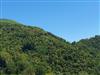 Bild 38 - Ude