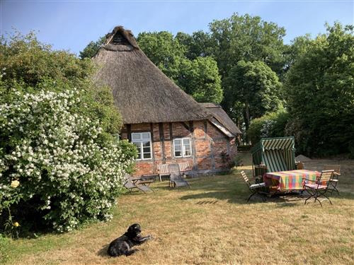 Ferienhaus - 6 Personen -  - Sandbostel - 27446