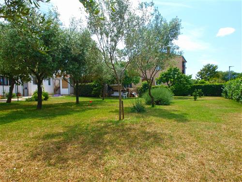 Ferielejlighed - 4 personer -  - Fažana - 52212