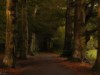 Billede 34