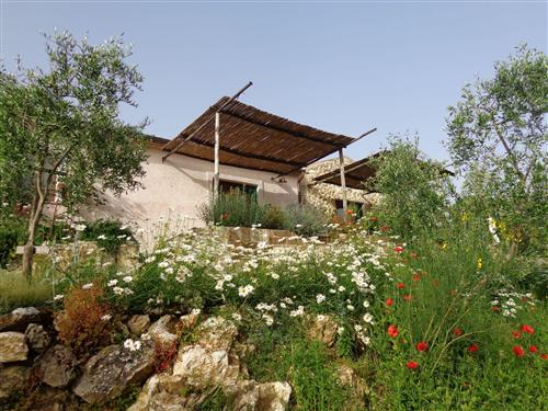 Ferielejlighed - 3 personer -  - Manciano - 58014