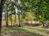 Bild 10