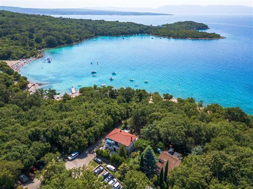 Holiday apartment - 2 persons -  - Luke Turata - 51512 - Njivice