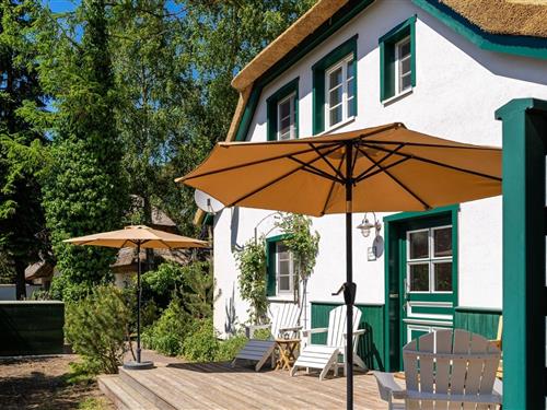 Ferielejlighed - 6 personer -  - Zwischen den Kiefern - 18347 - Dierhagen