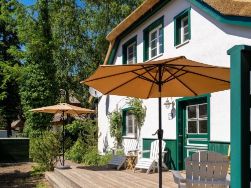 Ferielejlighed - 6 personer -  - Zwischen den Kiefern - 18347 - Dierhagen