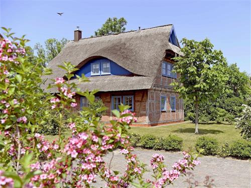 Sommerhus - 6 personer -  - Zum Höft 27 C - 18586 - Mönchgut