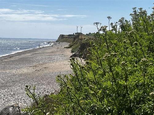 Sommerhus - 12 personer -  - 24398 - Brodersby-Schönhagen