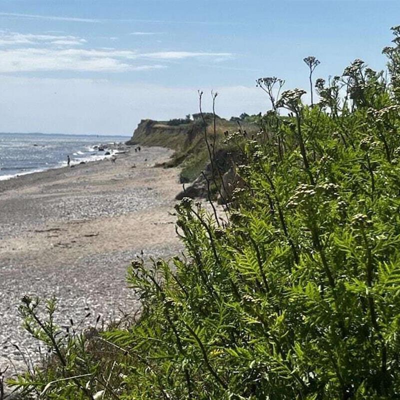 Sommerhus - 12 personer -  - 24398 - Brodersby-Schönhagen