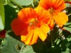 Bild 20