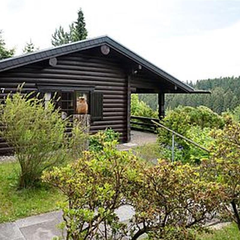 Ferielejlighed - 5 personer -  - An der Lönn - 34508 - Willingen (Upland)