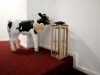Bild 14