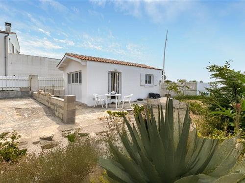 Holiday home - 2 persons -  - Rue de la Chansonnette - La Cotinière - 17310 - Saint-Pierre-D'oléron