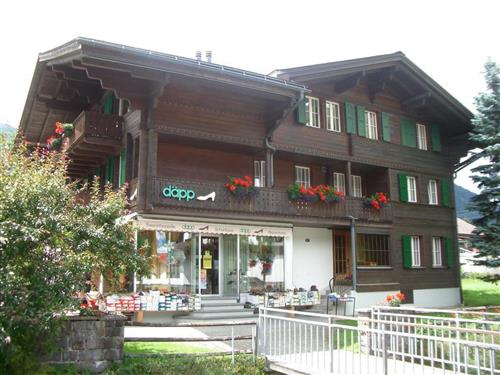Holiday apartment - 6 persons -  - Lenk - 3775