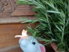 Bild 19