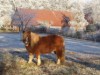 Bild 14