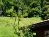 Bild 19