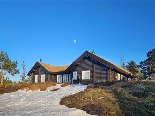 Sommerhus - 10 personer -  - Sandvassåsen - Fagerfjell - 3620 - Flesberg