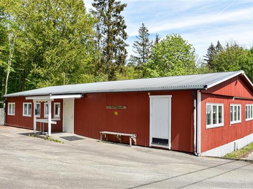 Ferienhaus - 8 Personen -  - Elsebrånevägen - 374 91 - Asarum