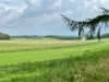 Afbeelding 33