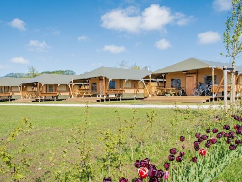 Cottage - 6 persons -  - 1778KL - Westerland