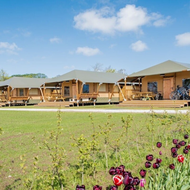 Hytte - 6 personer -  - 1778KL - Westerland