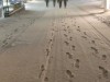 Bild 22 - Ude