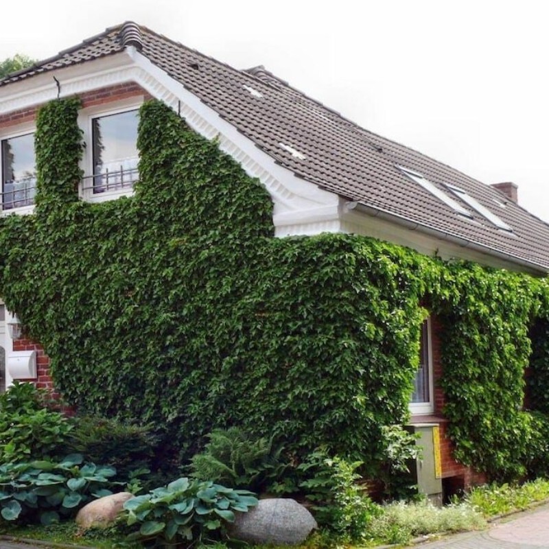 Sommerhus - 4 personer -  - 26736 - Krummhörn-Eilsum
