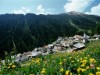 Bild 39 - Ude