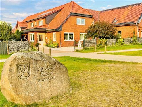 Bondegård - 8 personer -  - Alter Hoop - 31633 - Leese