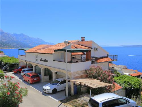 Holiday apartment - 4 persons -  - Zapadna ulica - 21318 - Pisak