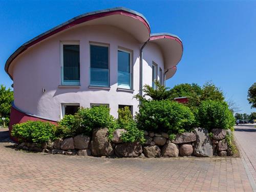 Ferielejlighed - 4 personer -  - Dorfstraße - 18347 - Ostseebad Ahrenshoop