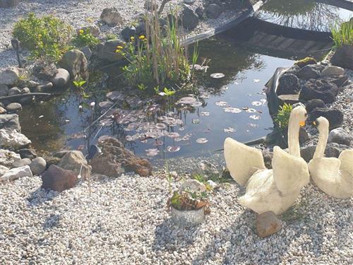 Ferienwohnung - 2 Personen -  - Schoorl - 1871GR