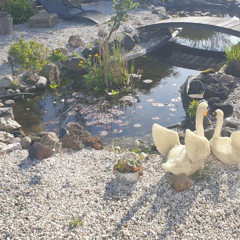 Ferielejlighed - 2 personer -  - Schoorl - 1871GR