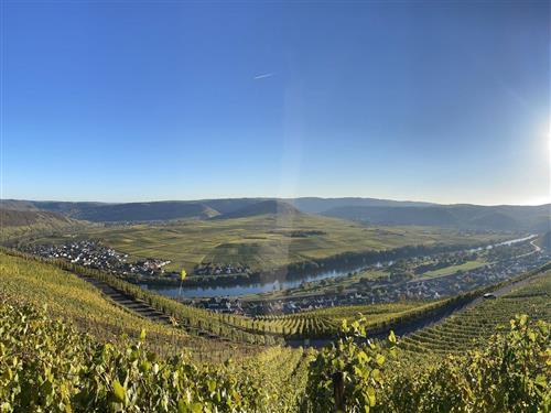 Ferienwohnung - 4 Personen -  - Hauptstraße - 54340 - Klüsserath