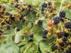 Bild 13 - Aussen