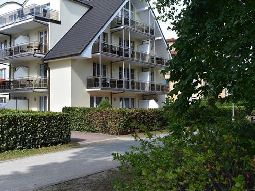 Feriehus / leilighet - 2 personer -  - Am Kurpark - 18586 - Baabe