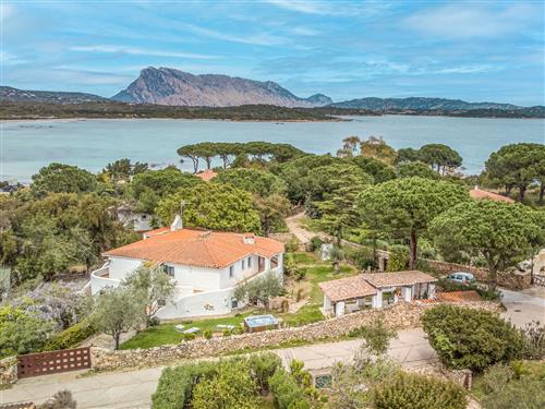 Ferienhaus - 10 Personen -  - San Teodoro - 08020