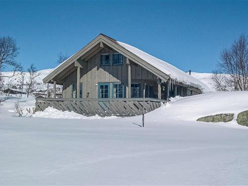 Sommerhus - 6 personer -  - Skjerdalsrusti - Haukelifjell/Vågslid - 3895 - Edland