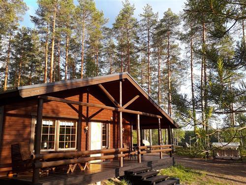 Holiday Home/Apartment - 4 persons -  - Padasjoki - 17500