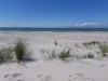 Bild 42