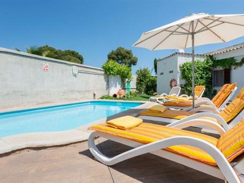 Feriehus / leilighet - 6 personer -  - 07400 - Alcudia