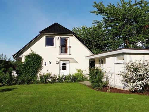 Sommerhus - 8 personer -  - 18528 - Buschvitz