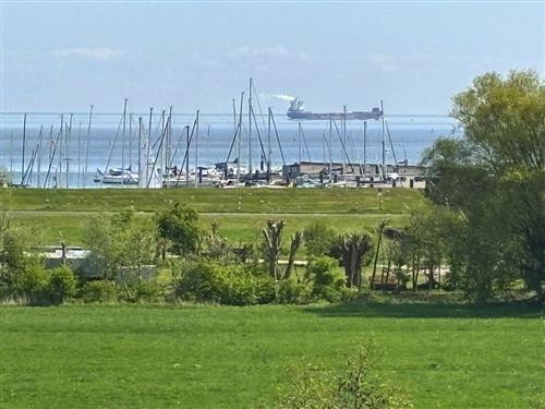 Semesterlägenhet - 2 personer -  - Am Tief - 26434 - Wangerland