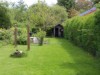 Bilde 5