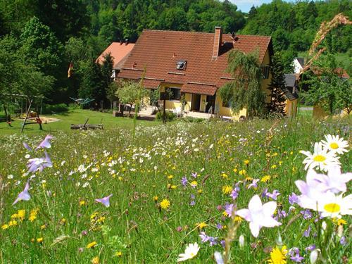 Ferieleilighet - 5 personer -  - Wohnsdorf - 96142 - Hollfeld