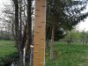 Billede 2