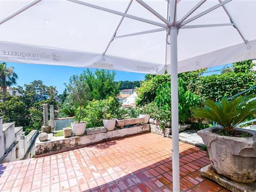 Holiday apartment - 4 persons -  - 20000 - Dubrovnik